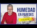 💪🚀 Cómo Quitar la HUMEDAD de la Pared | 3 SOLUCIONES a la Humedad por Capilaridad