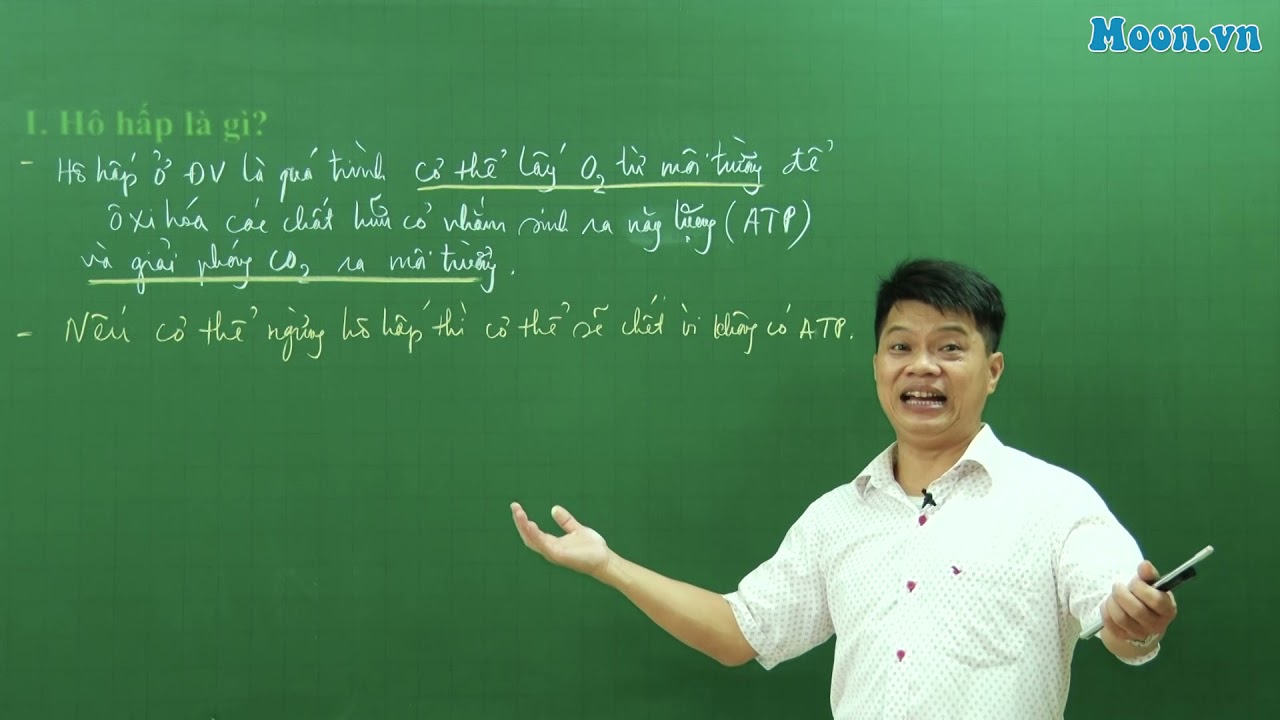 Bài 14-SH11: Hô hấp ở động vật