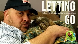 Losing a Pet  Our Experience with Canine Lymphoma, Treatment & Letting Go  |  Craig & KJ