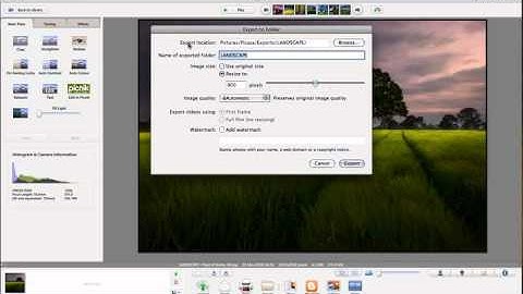 Resize Photos Using Picasa