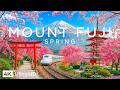 Mount Fuji Spring 4K Aerial Film 🌸 Fuji Five Lakes, Sakura Shores &amp; Snowcap Horizon, Cinematic