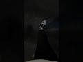 ☠️#м5ф90