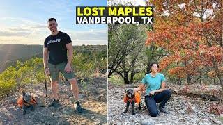 Lost Maples State Natural Area | Hiking in Fall | Vanderpool, Texas