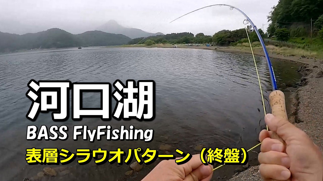Water temp 17-19℃] Bass fishing with fly fishing in Lake Kawaguchi