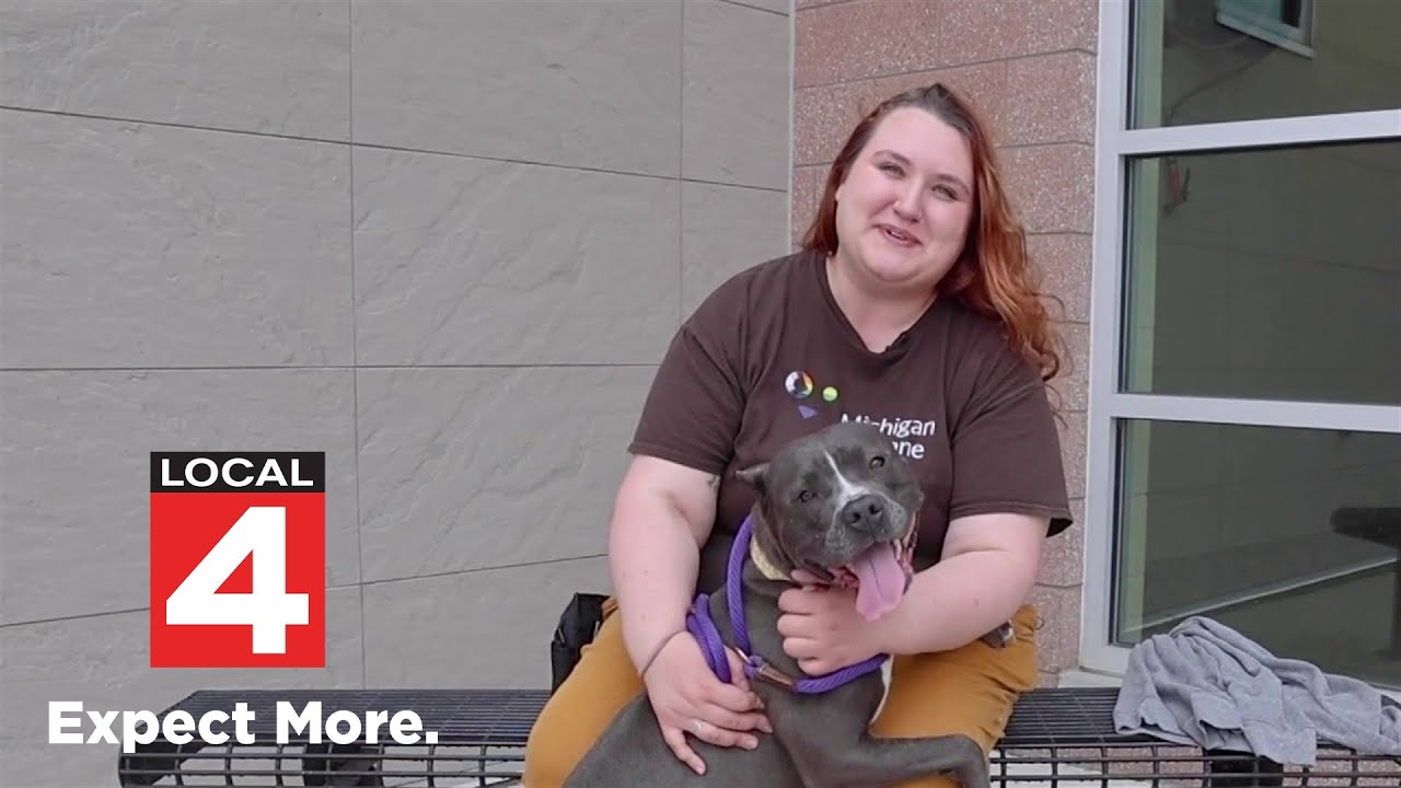 All 4 Pets: Riley is the Pet of the Week - YouTube