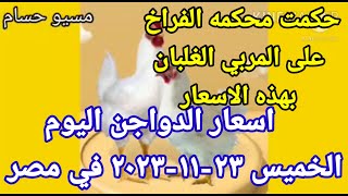 اسعار الفراخ البيضاء اليوم اسعار الدواجن اليوم الخميس ٢٣-١١-٢٠٢٣ في مصر