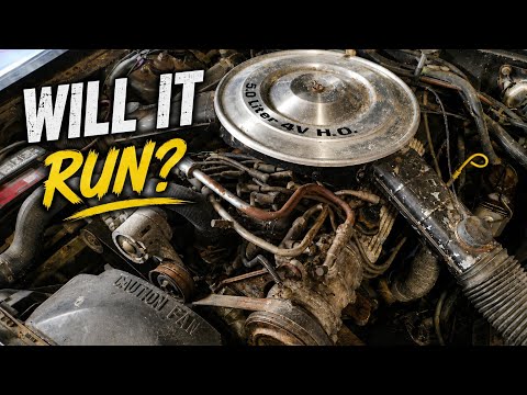 This 1985 Ford Mustang GT Hasn't Run Since 1992! Will it run? Project Rewind