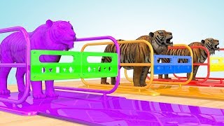 Apprendre les animaux de la savane - Nom et son de l'animal - couleur tigre screenshot 3