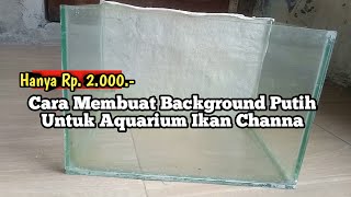 Cara Membuat Background Putih Untuk Aquarium Ikan Channa screenshot 2