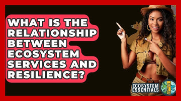 What Is The Relationship Between Ecosystem Services And Resilience? - Ecosystem Essentials