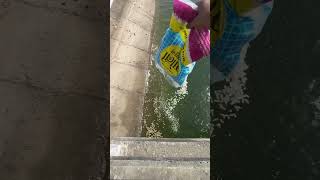Feeding food fish 🐟   #fishing #fishinglife #food #fish #trendingnow ​⁠​⁠​⁠ ​⁠ @Jayuking-6090
