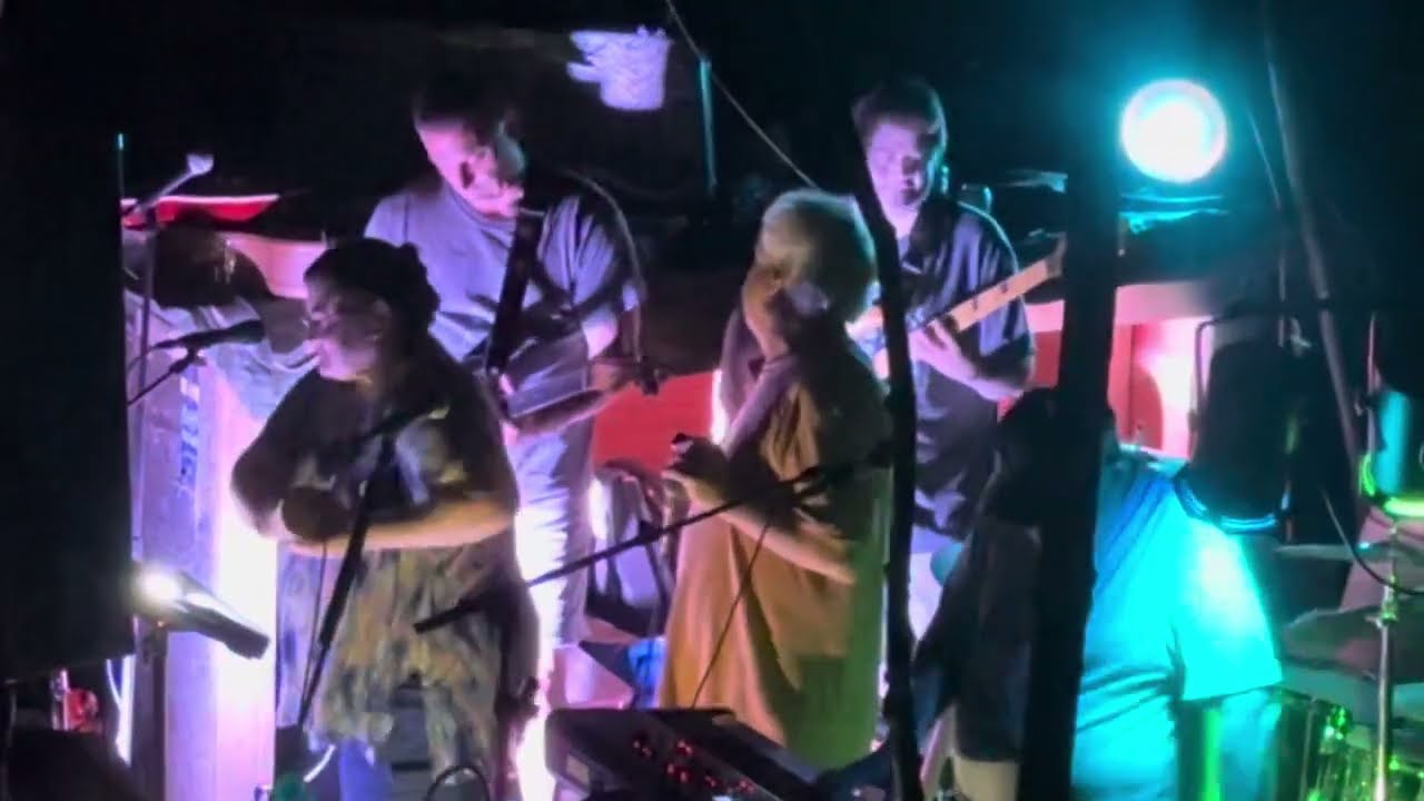 The Party Sharks- Jump Jive an’ Wail (Brian Setzer Orchestra Cover) 8/16/25 Crick Fest; Marietta, NY
