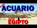 ACUARIO TU RESPUESTA, TU TALISMAN, TAROT DESDE EGIPTO, NO TE LO PIERDAS!