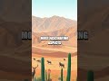 The Stunning Vastness of the Atacama Desert