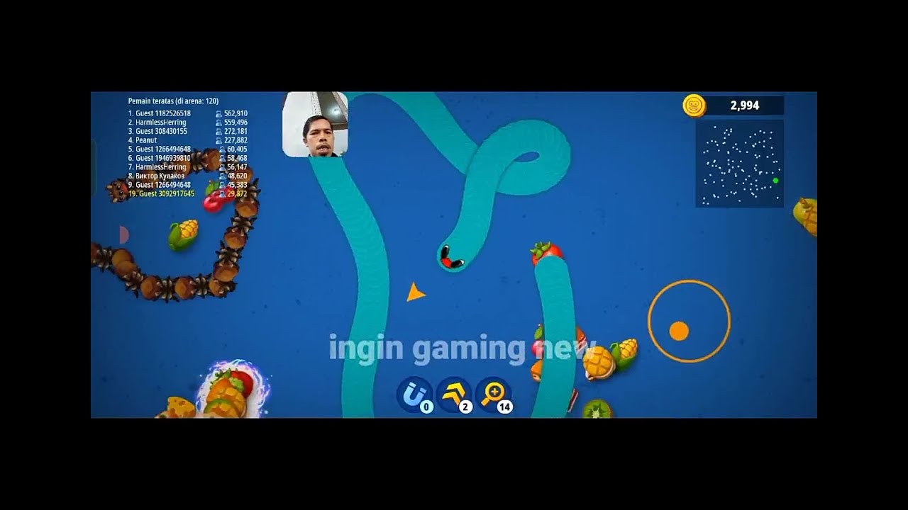 gameplay zona cacing io YouTube