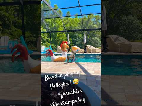 Pool Volleyball with