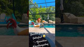 Pool Volleyball with Bowden #shorts #frenchbulldog