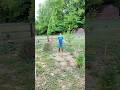 Can I get away with it? Planting zucchini with no protection...