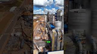#suzano #ribas #agronegócio #agroindustria #celulose #curiosidades #industria #vocesabia #fyb