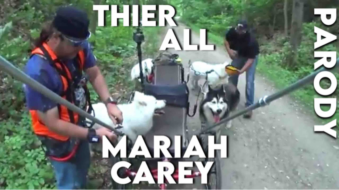 Adventures of Husky Dogs on SwitchBack Trail Part 3 husky siberiano blanco