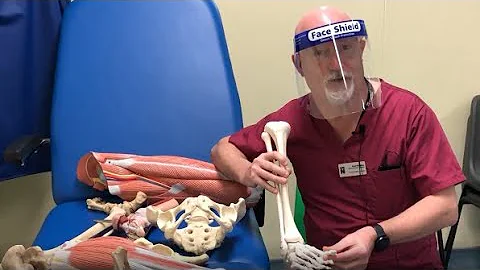 Podiatry degree at the Northampton School of Podiatry