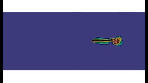 Undulatory swimming. Lattice Boltzmann simulation