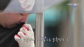 20190908 다큐멘터리3일 예고 ㅣ KBS방송