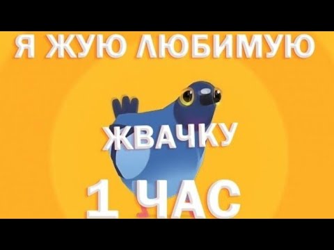 Голубь танцует под МЫШЬ-ЖВАЧКА 1 час!!!
