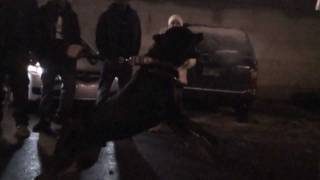 The Verse Feat. Don Lase - Point Em Out Rottweilers