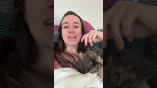 This video makes me so uncomfortable...😀 #cat #kitten #pets #funny #animals