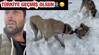 TÜRKİYE YIKILMIŞ GEÇMİŞ OLSUN BURDADA HAYAT DURDU!