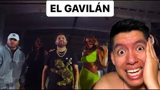 El Gavilán - Luis R Conriquez, Tony Aguirre, Peso Pluma - REACCIÓN