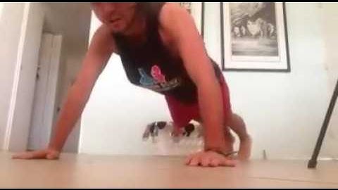 Day 1 - 22 Push Up Challenge