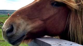 Iceland Slideshow July 2016