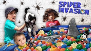 OREO in the SHARK BALL PIT in our SPIDER BASEMENT! FUNnel Fam Ink Vision