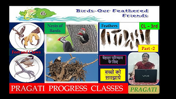 Birds our Feathered Friends  Part II # Nests of Birds # Feet and Claws # 3rd Cl 6th Cp EVS