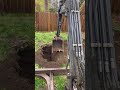 Septic drainfield replacement the starting procedures!