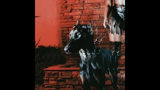 Celebrity Leon Thomas - I DO (Visualizer Restructured) Profile