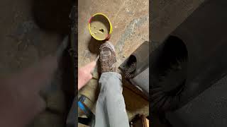 Restoring my thurogood factory second right side with floor polish
