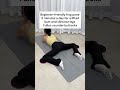 Beginner-Friendly Frog Pose | 5 Minutes a Day for a Lifted, Rounder Butt &amp; Slimmer Legs