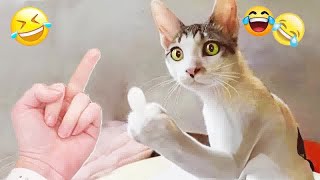 😘🐶 Funniest Dogs and Cats 🐕🤣 Funniest Animals # 25