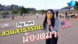 เลี้ยงสุนัขในอเมริกา ต้องทำอะไรบ้าง? #มอสลา | Silverlake Dog Park L.A.