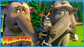 On The Run Madagascar 3 Europes Most Wanted Dreamworks Madagascar
