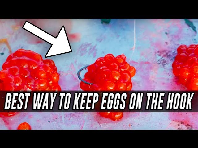 The BEST Way To KEEP Salmon Eggs/Roe On Your FISHING HOOK! 