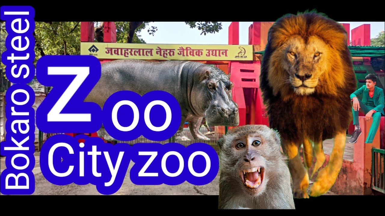 Zoo Ghar Bokaro Steel City Zoo chiriya ghar bokaro steel city