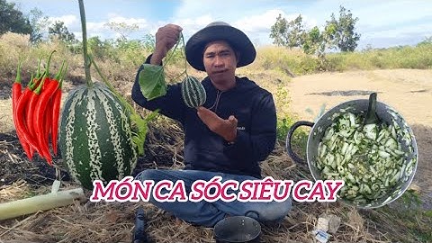 Video Jarai - Món Ca Sóc Siêu Cay