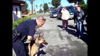 K9 Demo