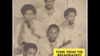 harvey & the phenomenals - soul & sunshine