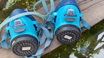 Thực tế khách hàng dùng mặt nạ phòng độc phun thuốc trừ sâu Koken G7 Nhật Bản