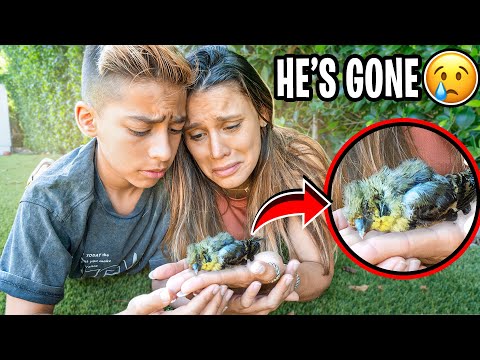 WE COULDN'T SAVE HIS LIFE.. (HE'S GONE) ? | The Royalty Family